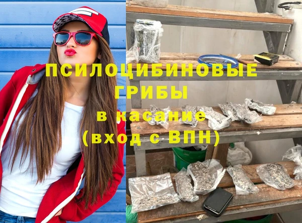 PSILOCYBIN Аркадак