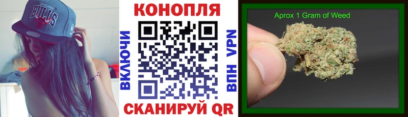 цена   Горняк  Канабис индика 